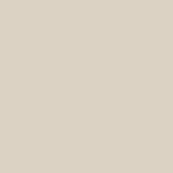 Paint Color SW 7567 Natural Tan From Sherwin Williams Contemporary