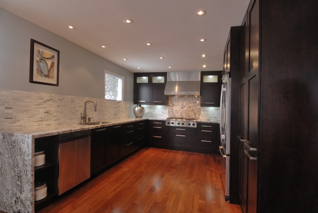 Majestic Marble Kitchen contemporary kitchen
