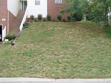 Landscaping ideas for sloped front yard