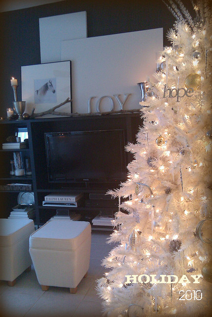 COMFORT & JOY @ FOCAL POINT contemporary living room