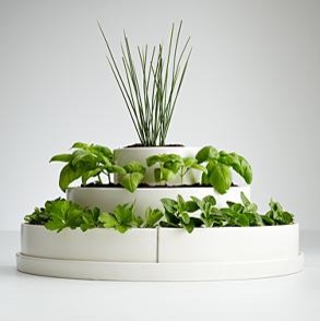 indoor herb pots