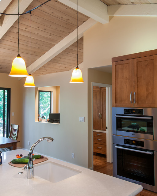 Kitchens contemporary-kitchen