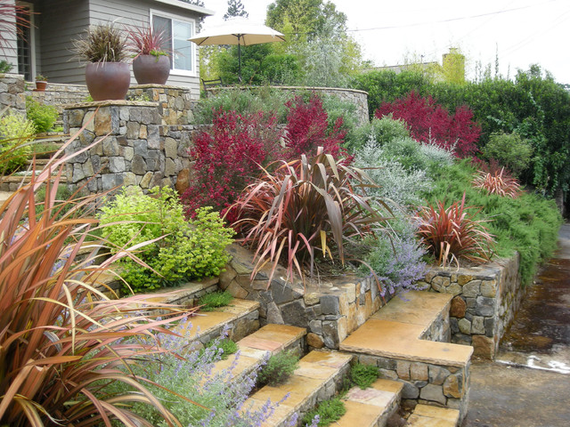 Hillside Entry contemporary-landscape