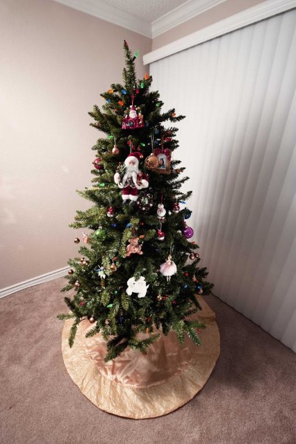 Allegheny Evergreen Outdoor Tree modern