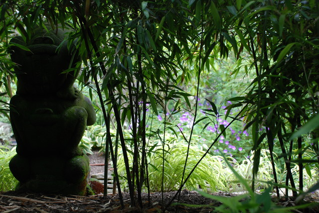 Zen Rock Garden asian landscape
