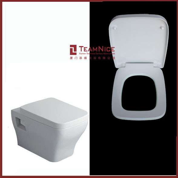 Duroplast toilet seat square toilet seat modern-toilet-seats