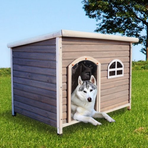 Flat Roof Dog House Plans