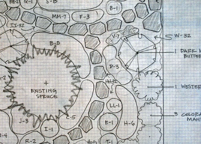 Xeriscape garden design contemporary