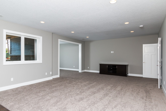 Contemporary Design 1 traditional-basement