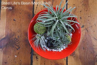 Steel Life's Basin Mod Dish - Tangerine modern-indoor-pots-and-planters