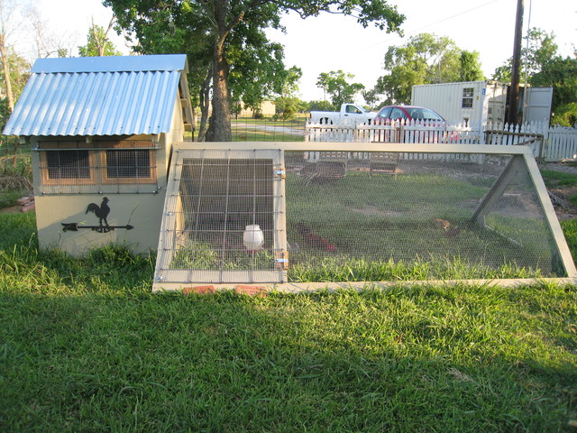 Chicken Coop -