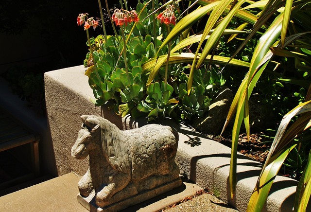 Carmel Valley and Santa Lucia Mountains eclectic