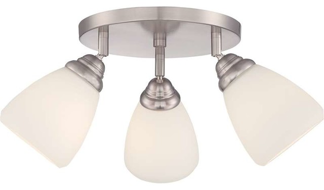 Quoizel Lighting QF1778SBN Flush Mount Ceiling Light In Brushed nickel - Transitional - Bathroom ...