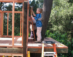 Tree Fort or Tree House - San Francisco Bay Area traditional