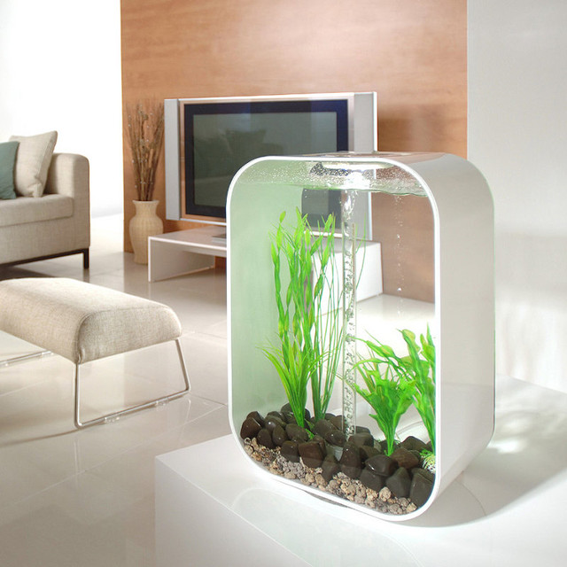 fish tank supplies fish tank supplies