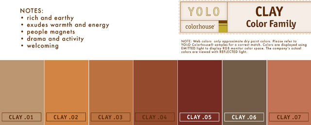 cavern-clay-complementary-color-scheme-in-2020-paint-colors-for-home