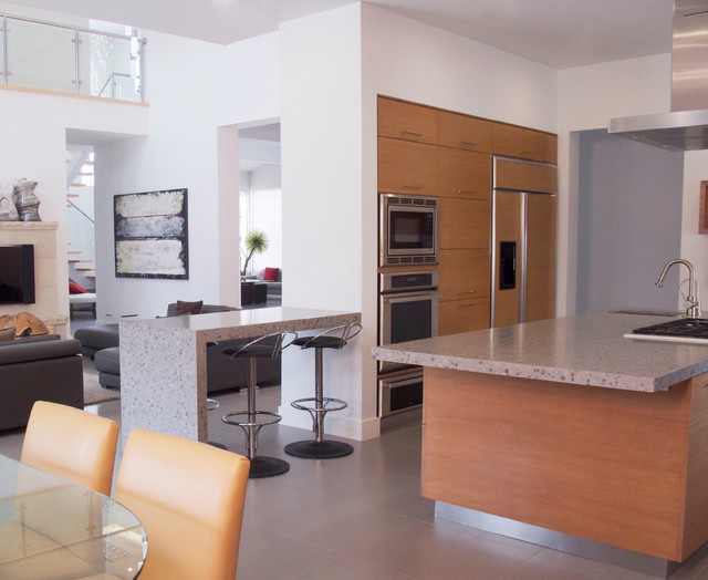 Artistically Modern modern-kitchen