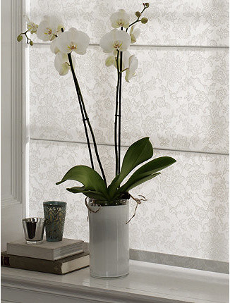 Window Coverings, Blinds & Shades traditional