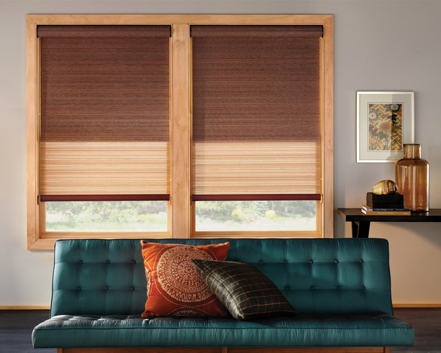 Designer Roller Shades with Continuous Cord Loop Eclectic Window