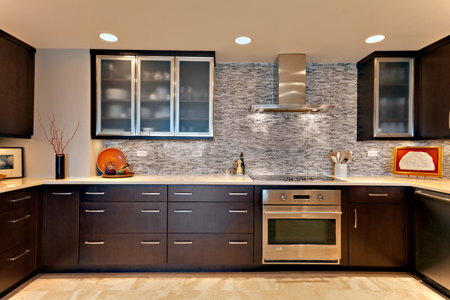 Condo Kitchen  Contemporary  Kitchen  other metro  by 