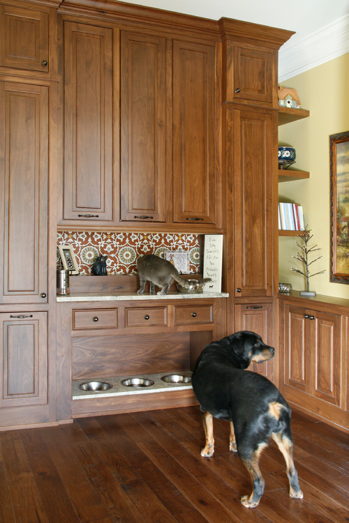 . High feeding station on the shelf above just so the dogs don't eat the cat's food.