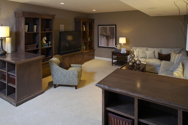 Auburn traditional basement