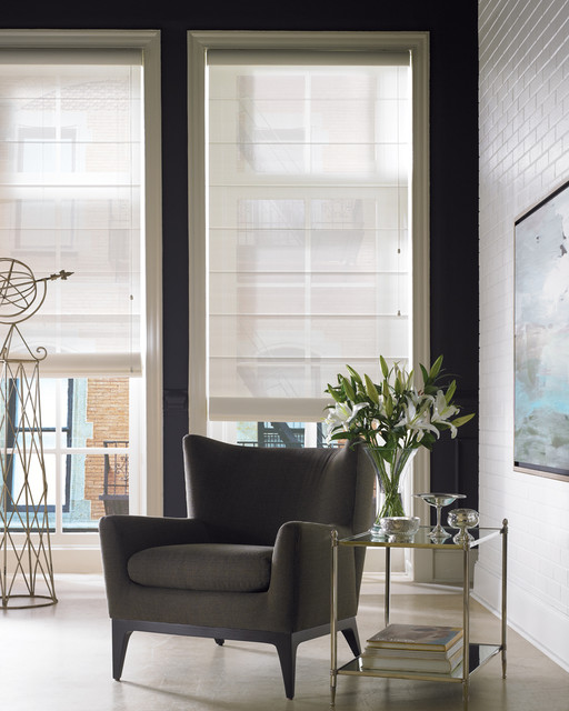 Roman Shades traditional-living-room