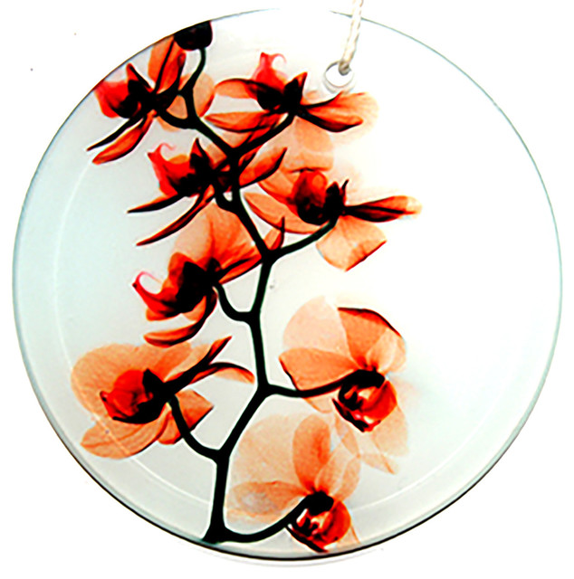 x ray photograph glass ornament suncatcher with orchids x ray photograph glass ornament suncatcher with orchids