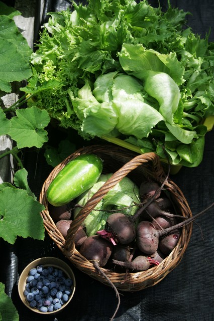 The Kitchen Garden traditional-landscape