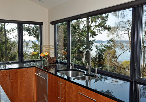 black granite countertops