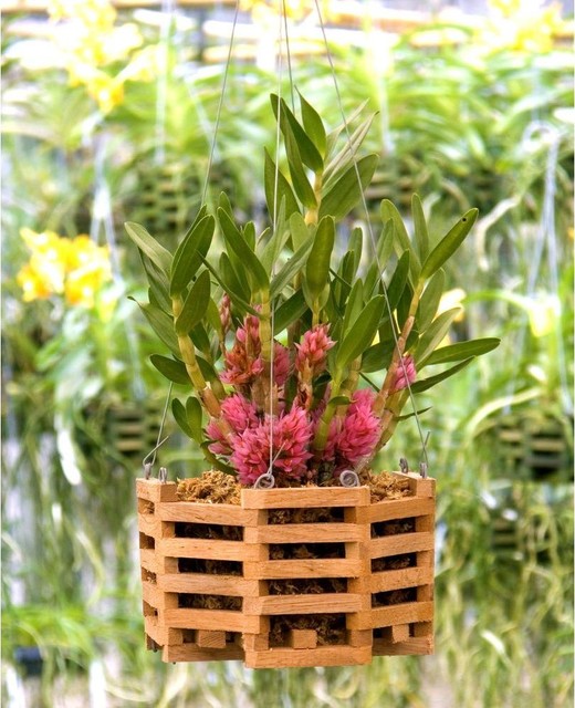 BetterGro Cedar Octagon Hanging Baskets, Set of 2 Contemporary