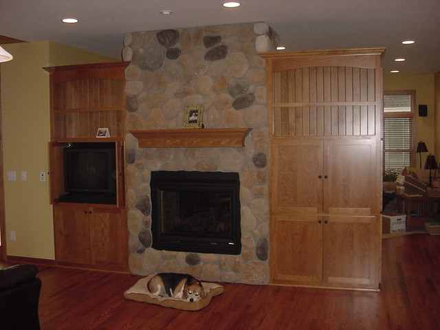 Entertainment Centers contemporary family room