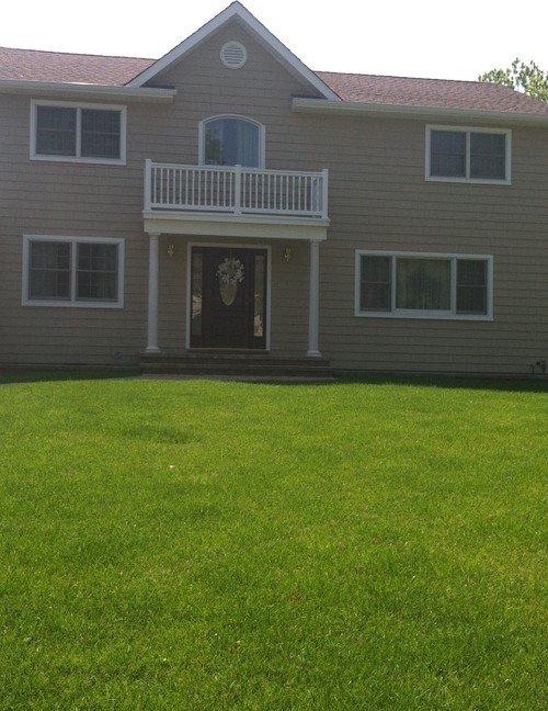 what kind of shrubs would look best under windows