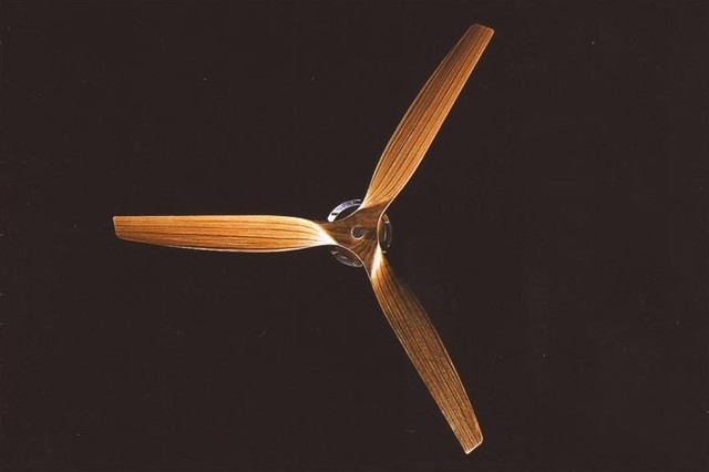 Modern Ceiling Fan