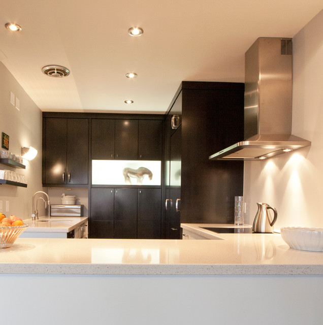 Rosedale Valley Road Condominium contemporary-kitchen