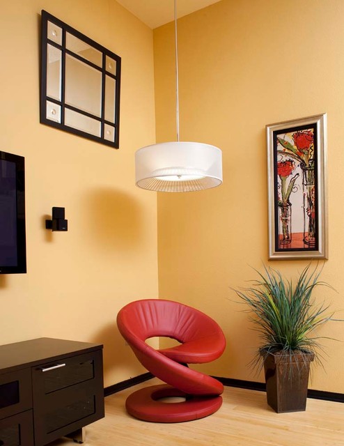 Contemporary and Transitional contemporary-living-room