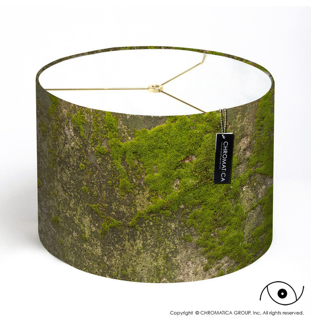 Drum Lamp Shade Moss Lamp Shades other metro by Chromatica