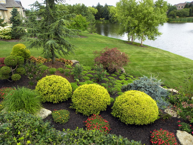 ... and shade with Landscaping in your front yard traditional-landscape
