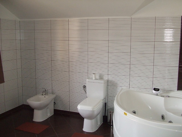 bathroom and kitchen renovated by Rafael Mihalcea modern-bathroom