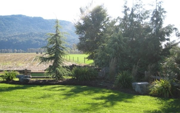 Nicomen Island Farm traditional-landscape