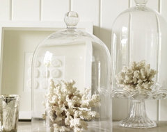 Glass Cloche Large traditional accessories and decor