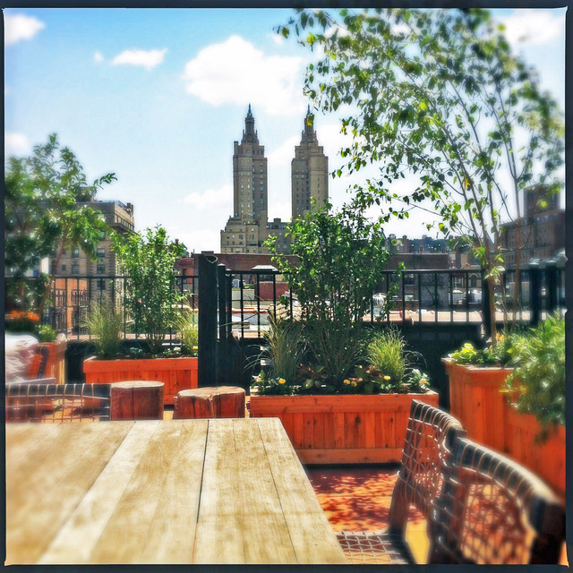 Upper West Wood Planters contemporary landscape