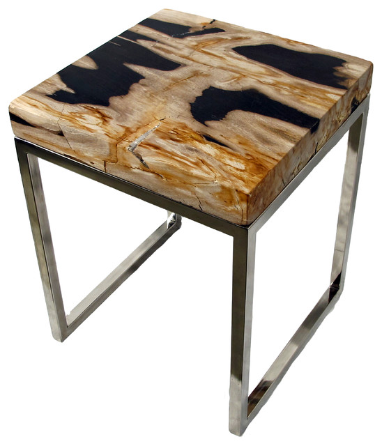 Petrified Wood Accent Table, square Contemporary Side Tables And