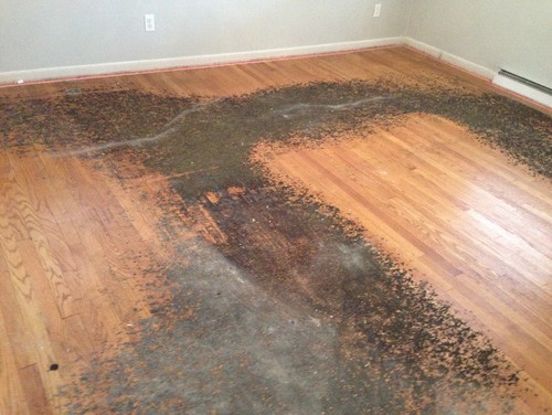 under residue carpet floors remove floor wood down very cleaner