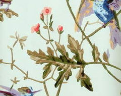 Hummingbird by Cole & Sons traditional wallpaper