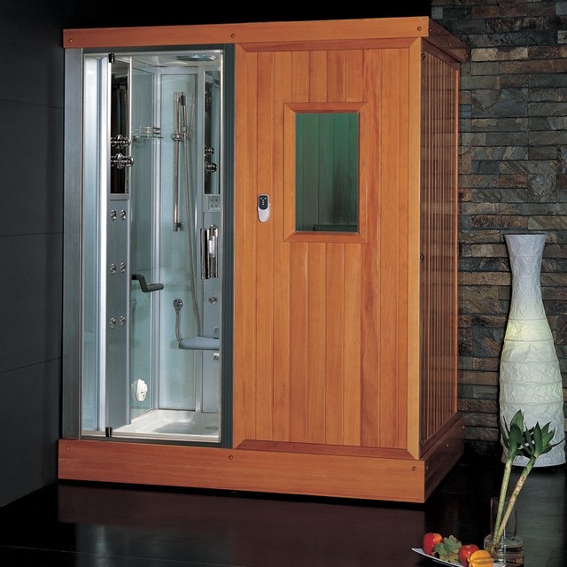 Ariel Platinum DS204F3L Steam Shower with Infrared Sauna Modern