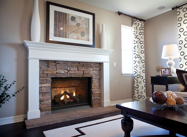 houzz fireplace inserts