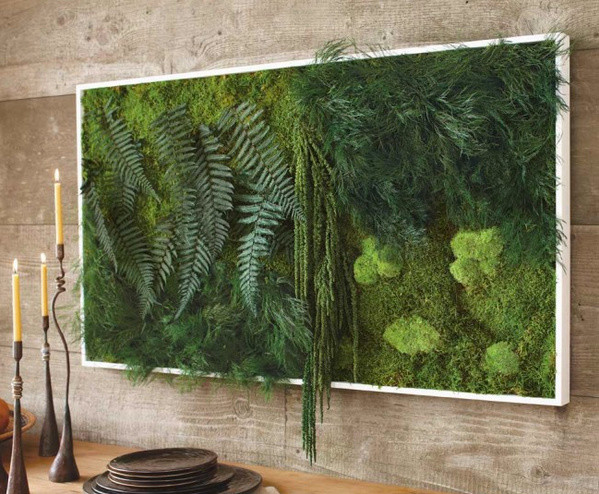 Fern and Moss Wall Art - eclectic - plants - by VivaTerra