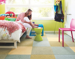 Toy Poodle contemporary bedroom
