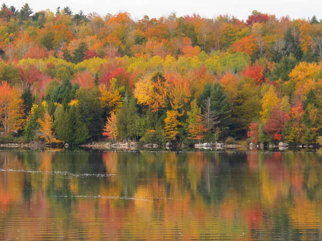 Brilliant Scenes of Fall Color Indoors and Out